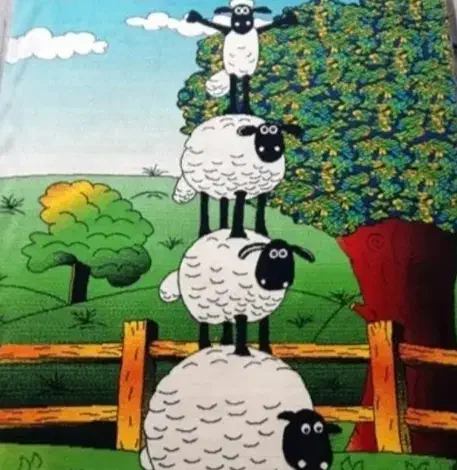 قالی کودک بره ناقلا|فرش|اهواز, کوی شهروند|دیوار