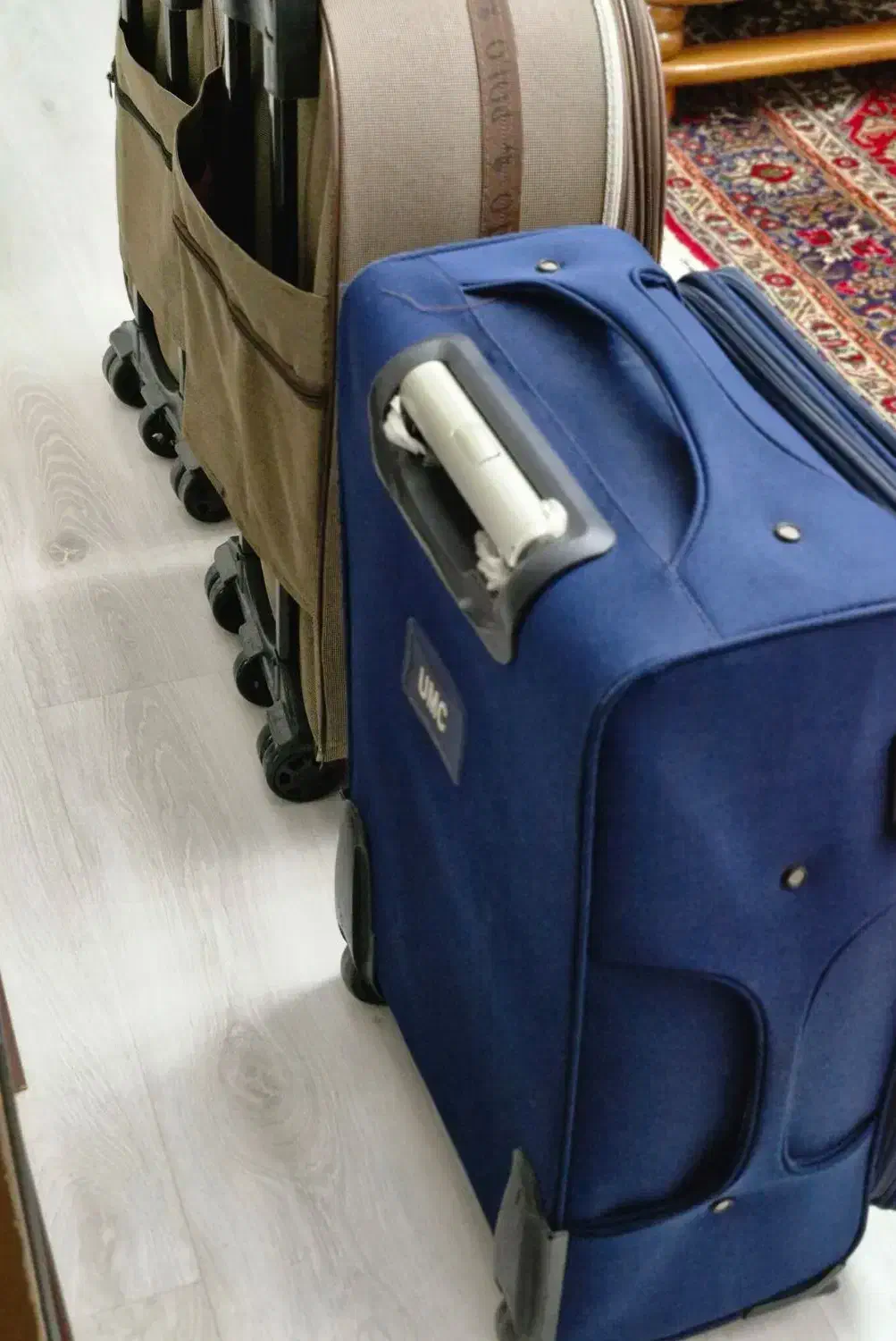 چمدان|کیف، کفش، کمربند|ماکو, |دیوار