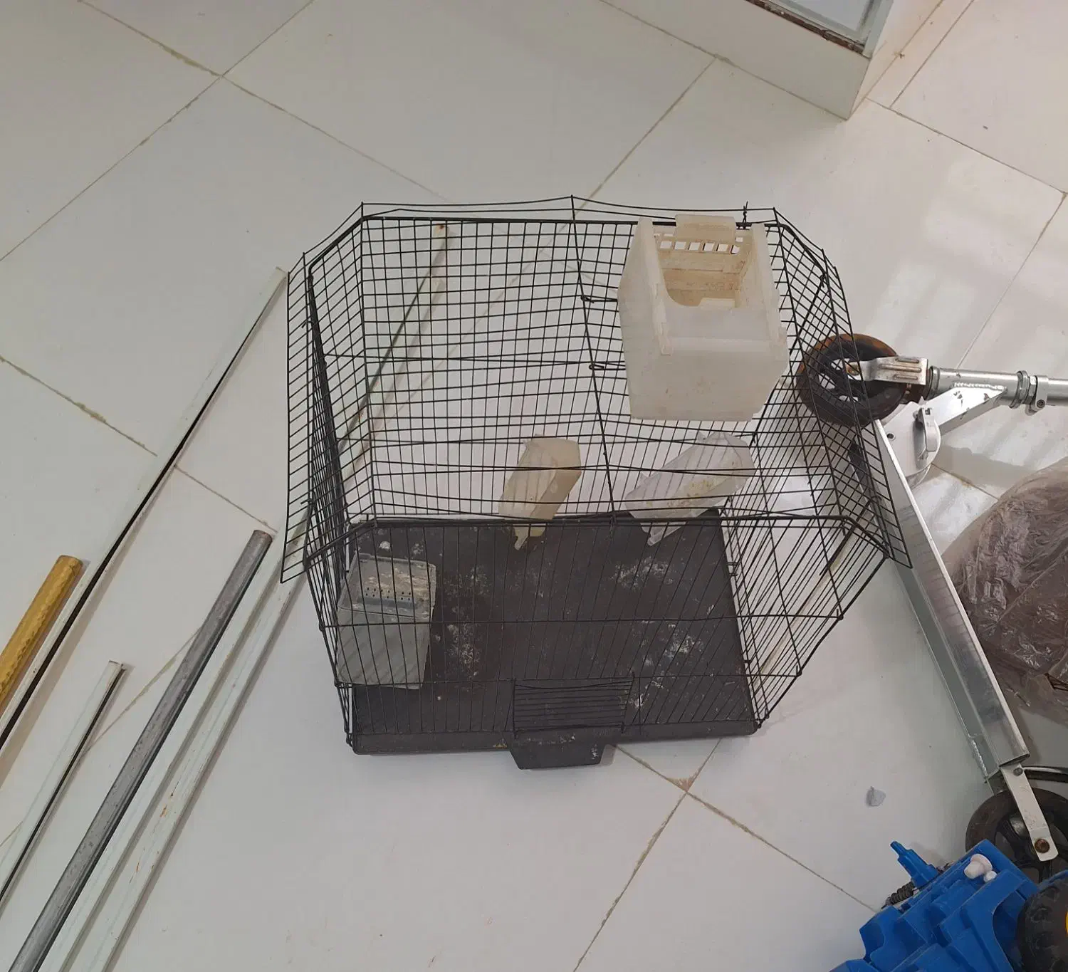 قفس پرنده|لوازم جانبی حیوانات|دهلران, |دیوار