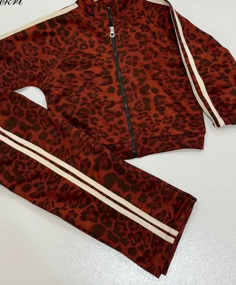 سویشرت شلوار|لباس|قائن, |دیوار