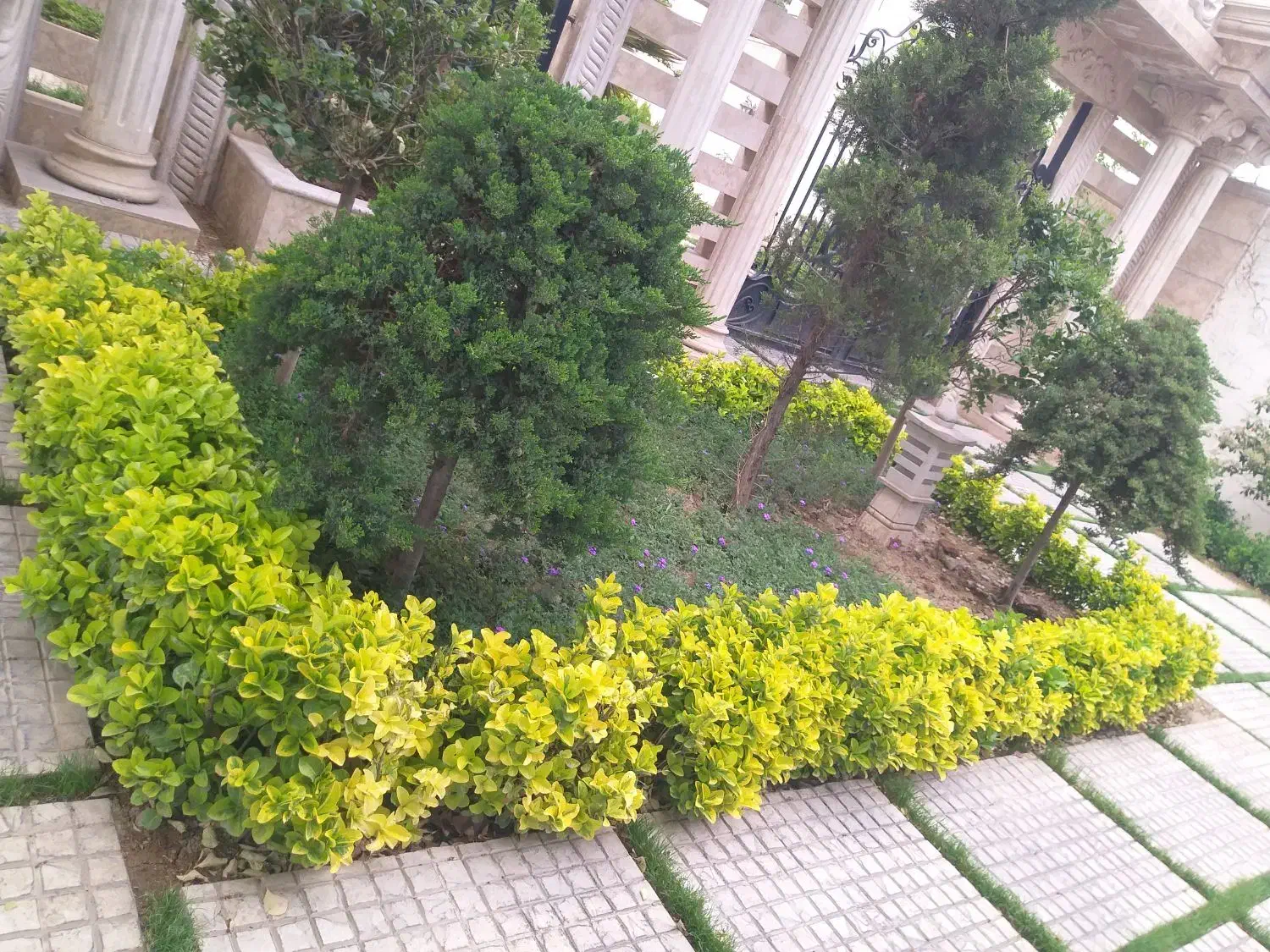 کلیه امور باغبانی تمام نقاط کرج حرفه ای و منصف|خدمات باغبانی و درختکاری|کرج, فاز ۲ مهرشهر|دیوار