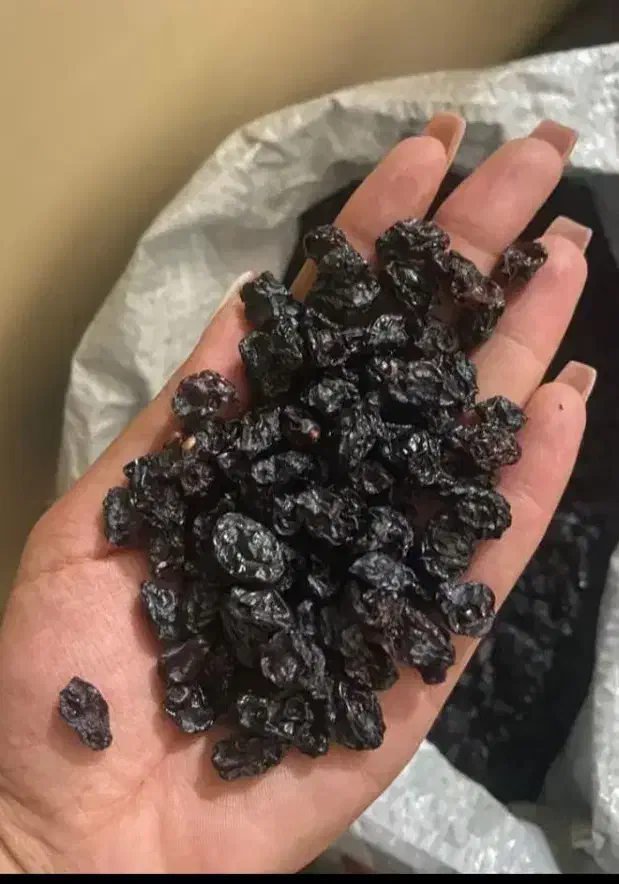 بادام|خوردنی و آشامیدنی|شیراز, تندگویان|دیوار