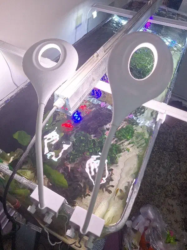 نور اکواریوم|ماهی|تهران, شهرک استقلال|دیوار