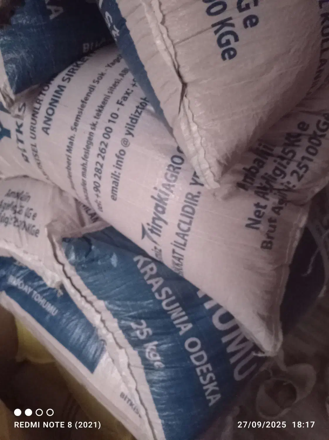 بذر گندم اوکراین|خدمات باغبانی و درختکاری|قروه, |دیوار