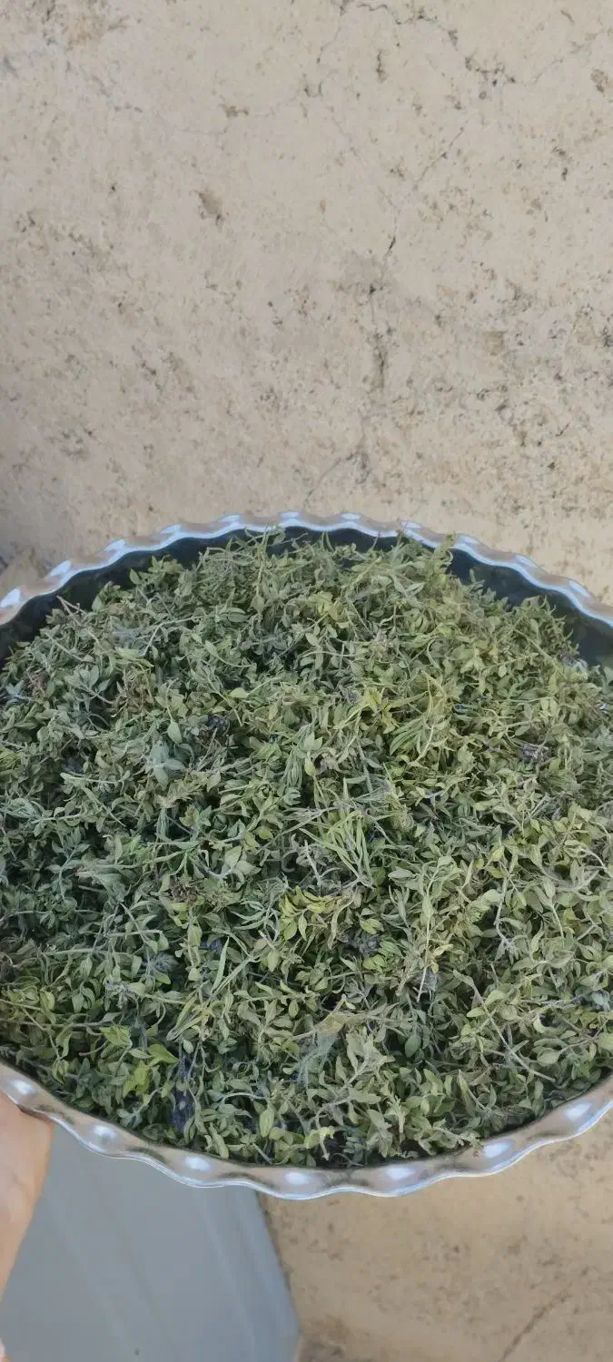 آویشن|آرایشی، بهداشتی، درمانی|رشت, قاسمیه|دیوار