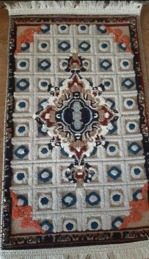 پادری با تنوع بالا|پادری|کاشان, خلیج فارس|دیوار