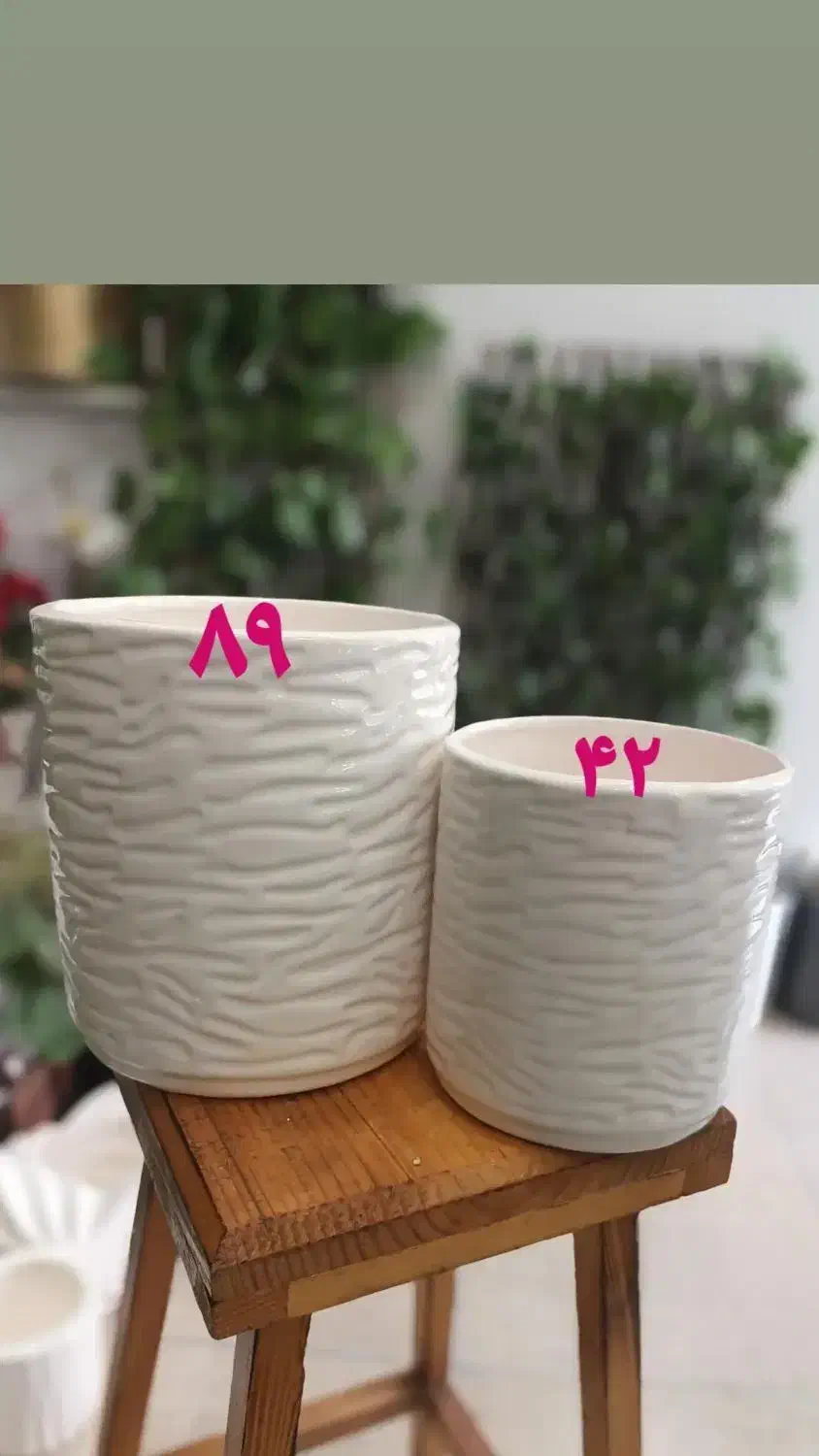 گلدان سرامیکی|گل و گیاه طبیعی|اصفهان, تخت فولاد|دیوار