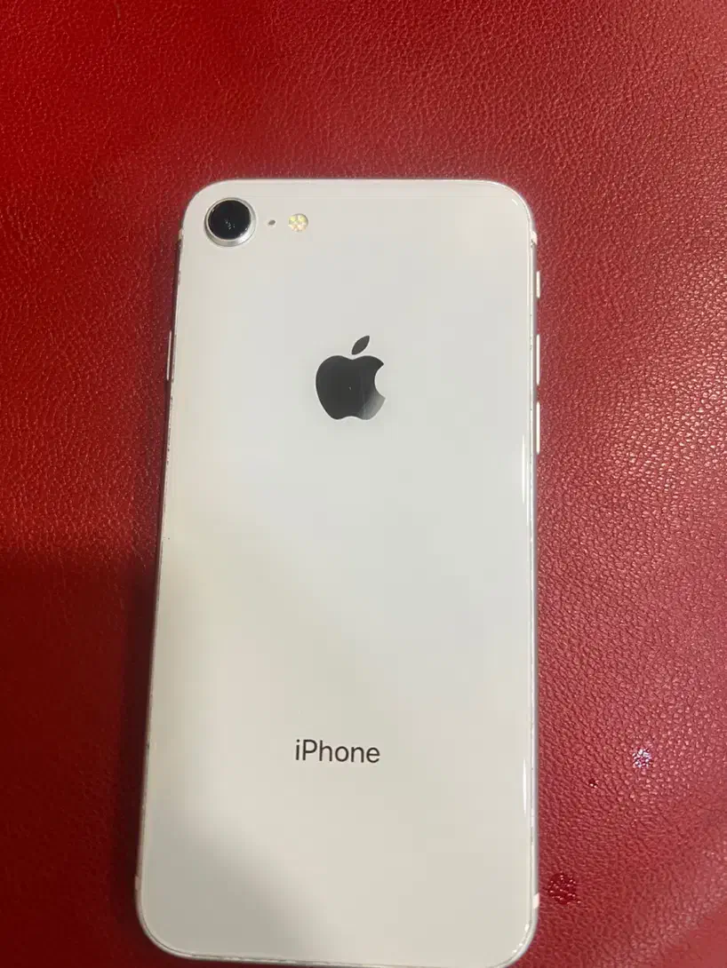 SE 2020|موبایل|کیش, |دیوار