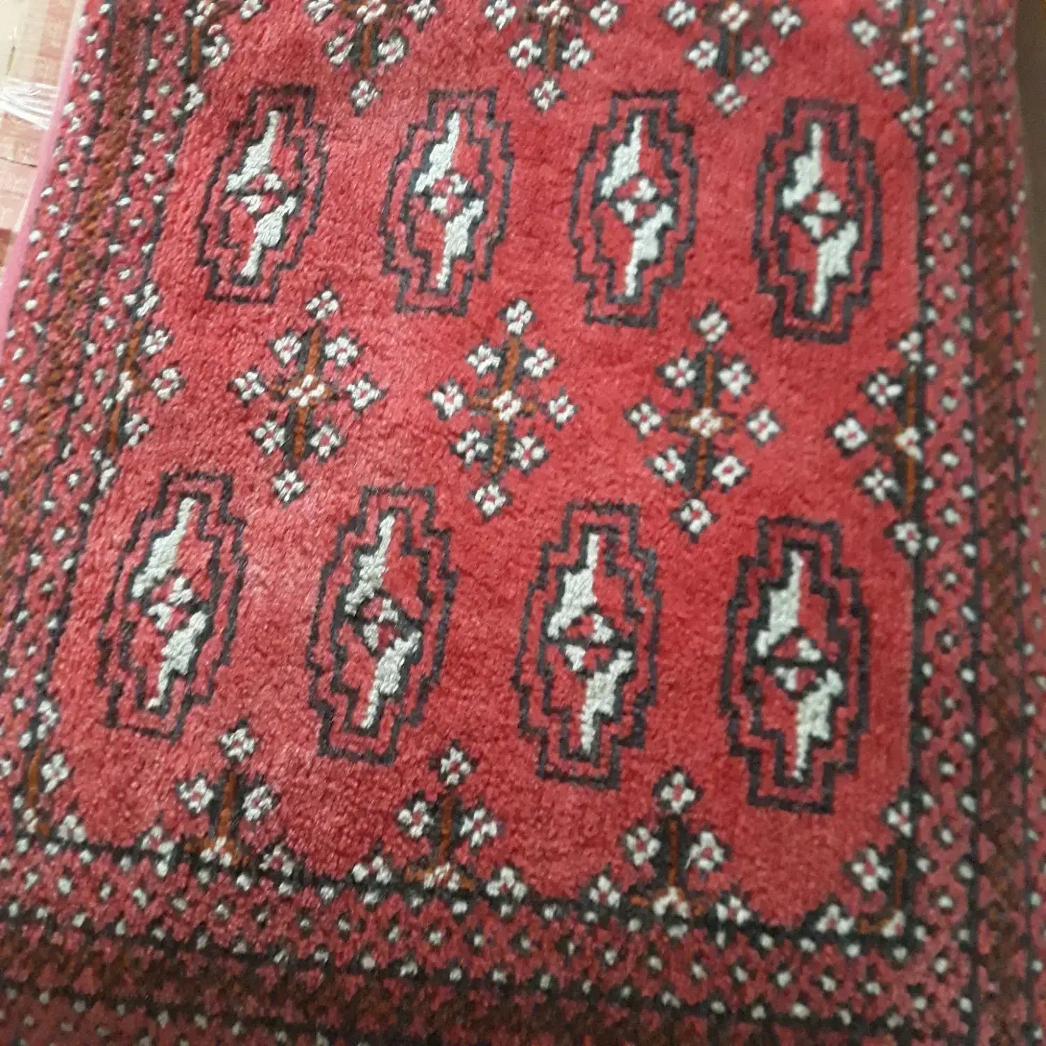 پشتی دست باف ترکمن|پشتی|اندیشه, شهرک صدف|دیوار