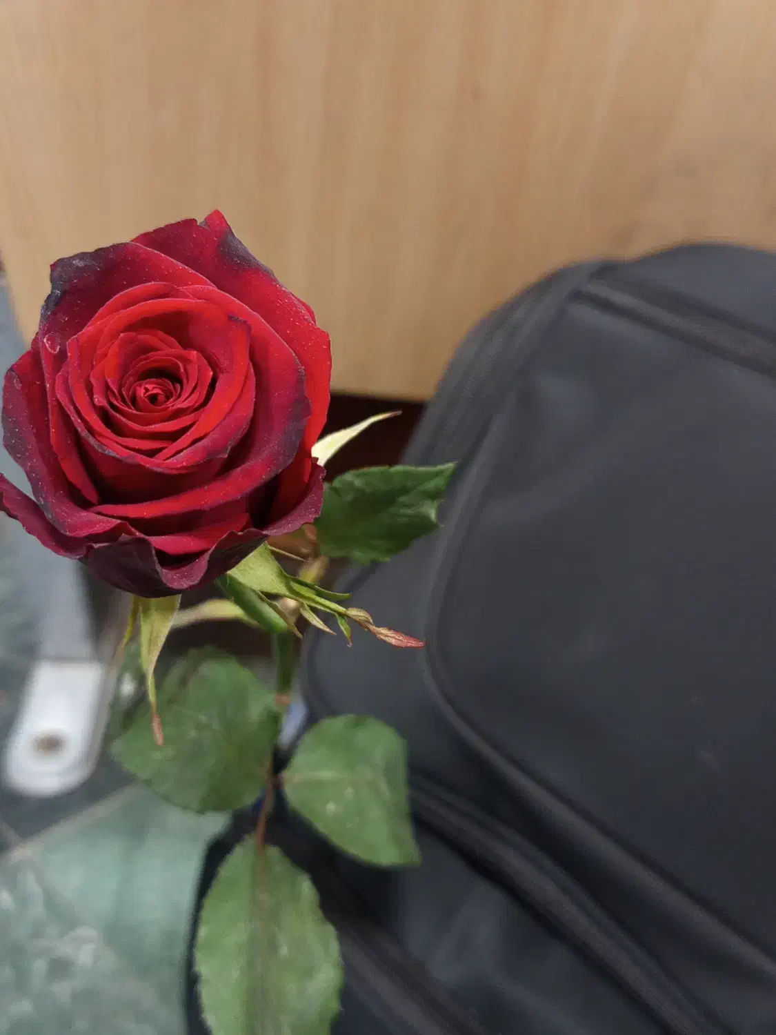 پاور پوینت مقاله ترجمه|خدمات رایانهای و موبایل|تهران, اکباتان|دیوار