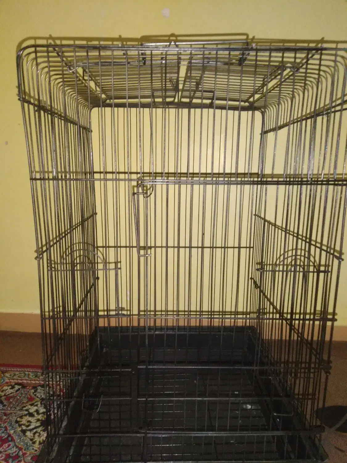 قفس پرنده|لوازم جانبی حیوانات|اهواز, سپیدار|دیوار
