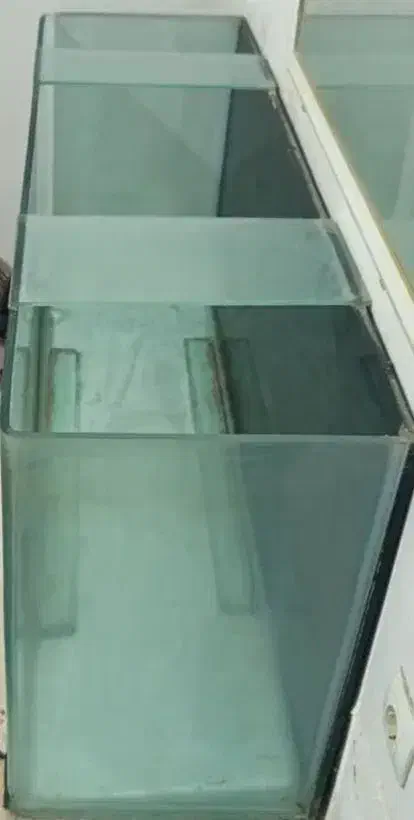 فروش آکواریوم|ماهی|زاهدان, |دیوار