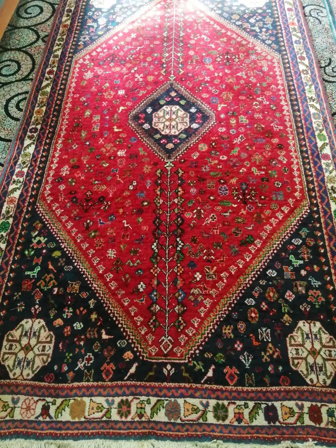 فرش دست بافت|فرش|شیراز, شهرک ولیعصر|دیوار