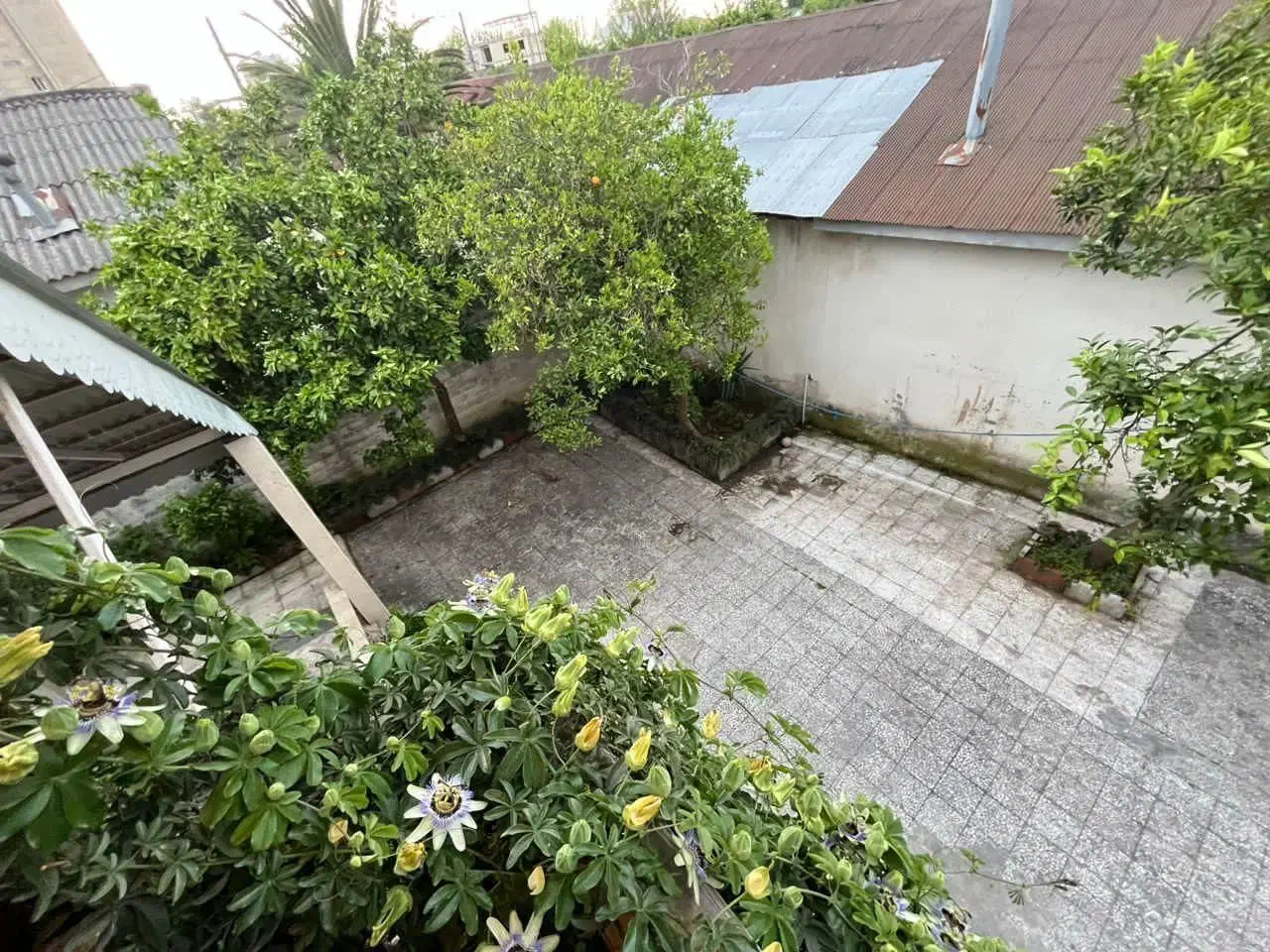 خونه باغ 700متری سندتکبرگ/3خواب/فروش فوری زیر قیمت|فروش خانه و ویلا|زیباکنار, |دیوار