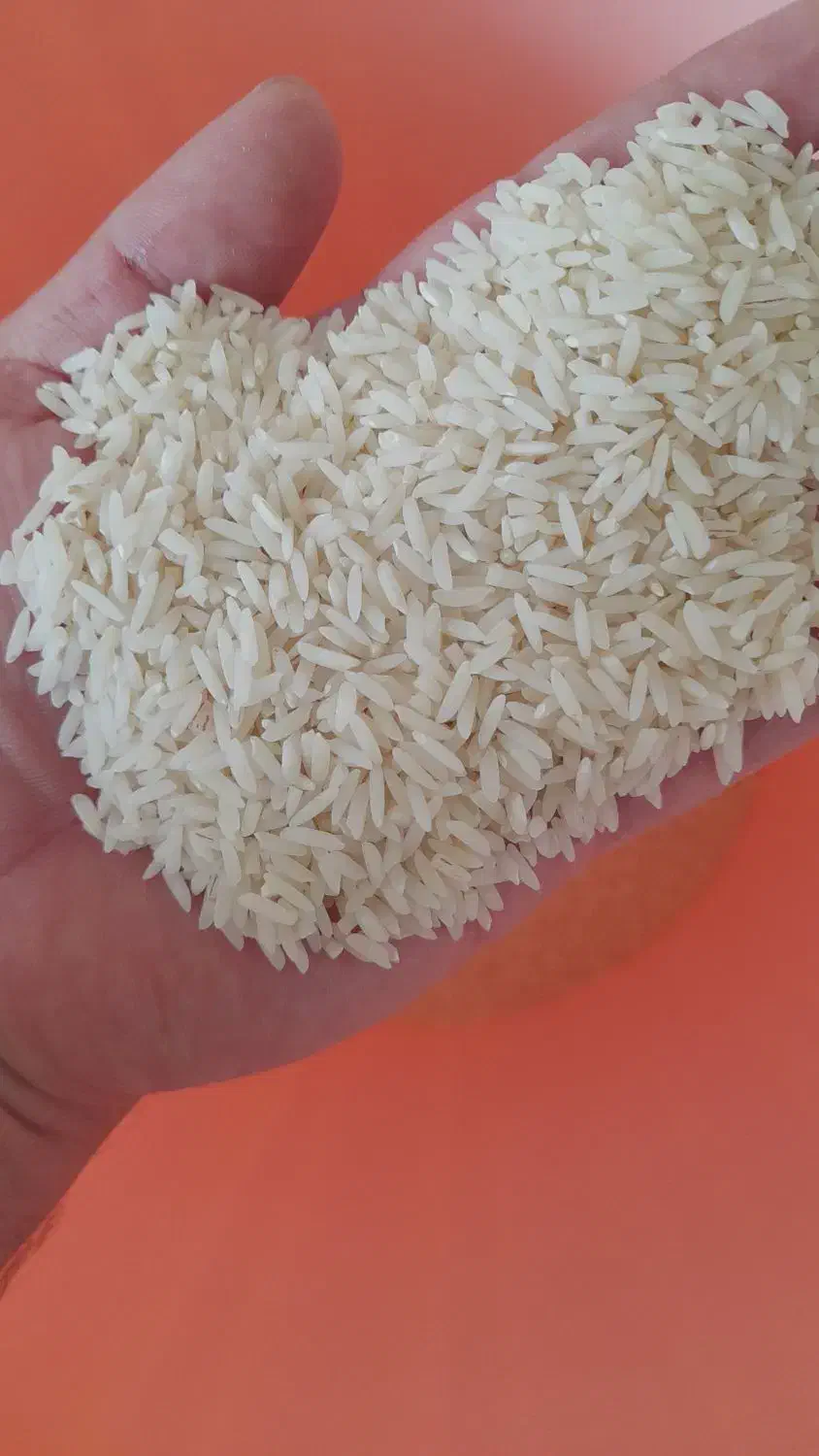 برنج هاشمی|خوردنی و آشامیدنی|پره‌سر, |دیوار