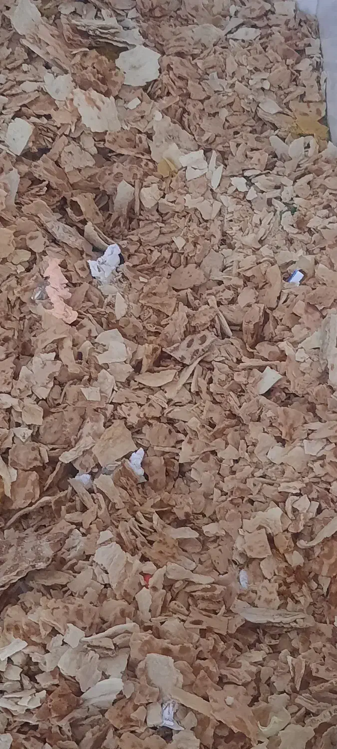 نان خشک|حیوانات مزرعه|فردوس (خراسان), |دیوار