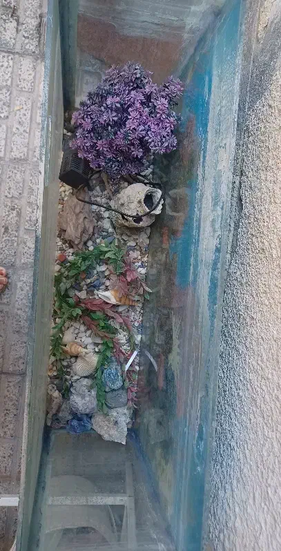 آکواریوم|ماهیگیری|قدس, شهر‌قدس|دیوار