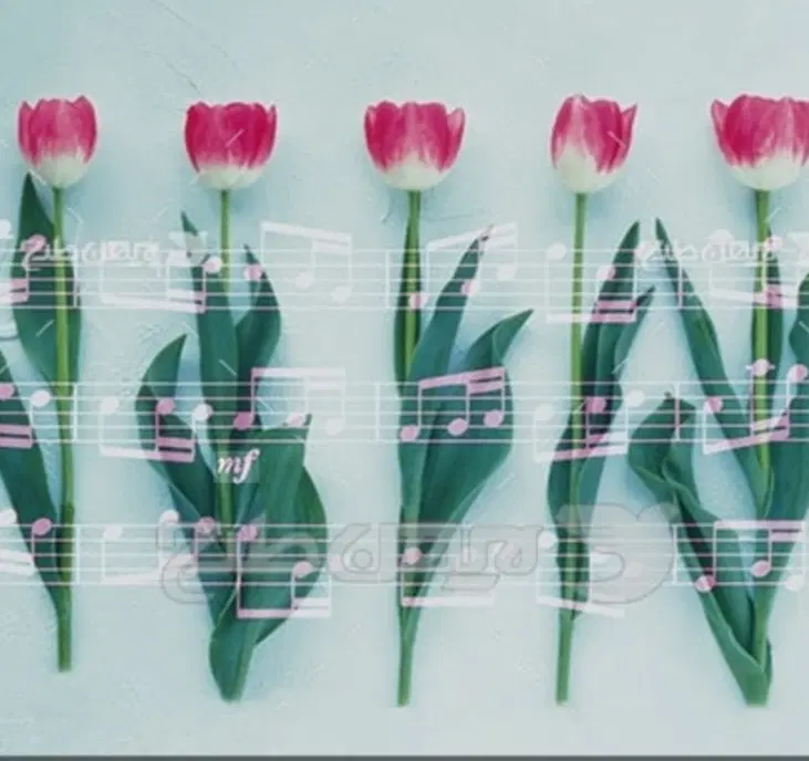 موسیقی گلها برای شما گلهاست|خدمات آموزشی|قم, انسجام|دیوار