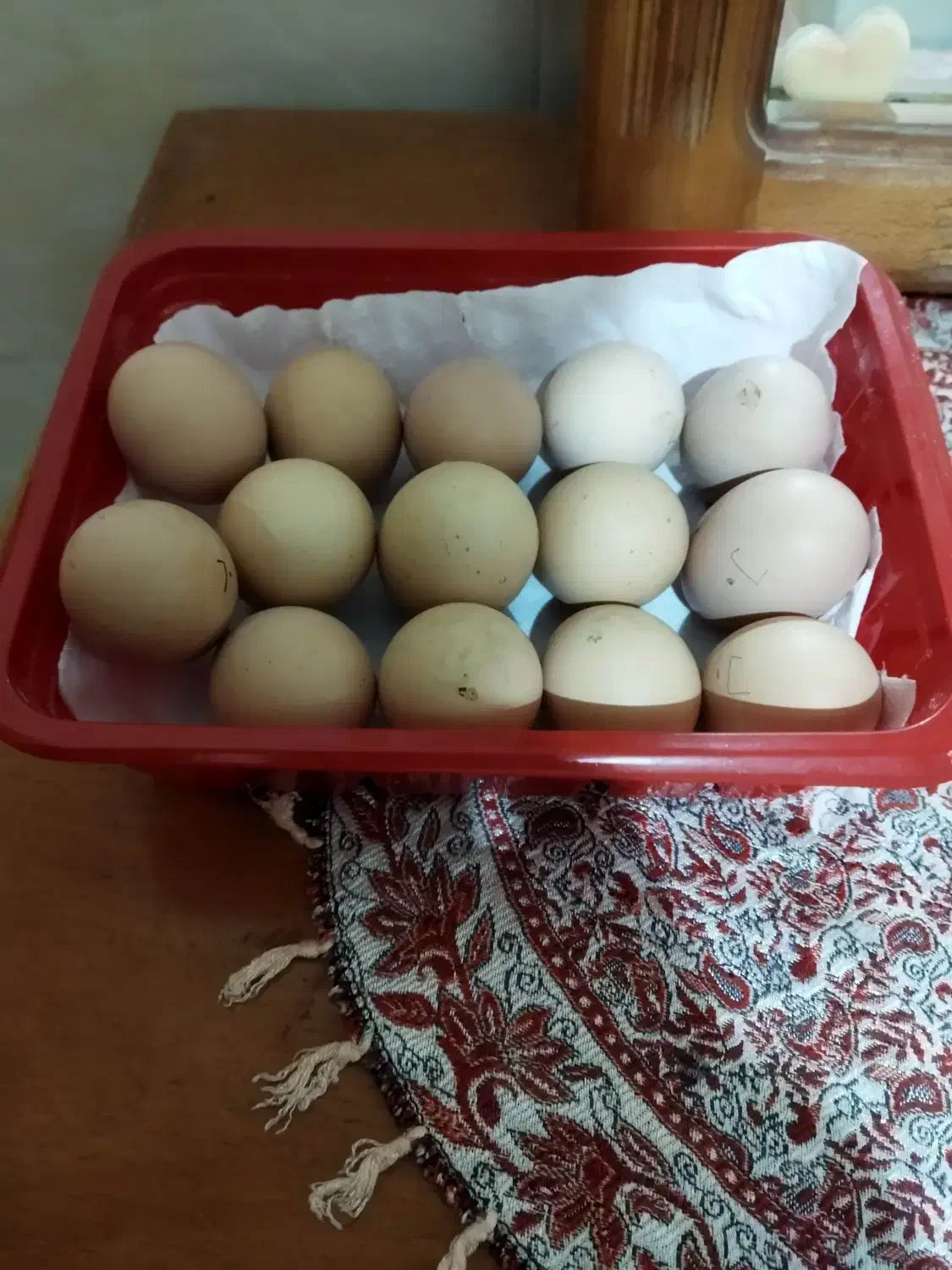 تخم نطفه دارمرغ برهما|حیوانات مزرعه|نجفآباد, صالح آباد|دیوار