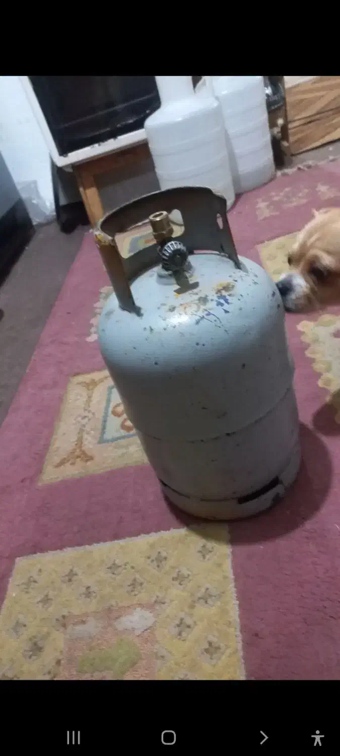 کپسول پیک نیکی|اجاق گاز و لوازم برقی پختوپز|رشت, قاسمیه|دیوار