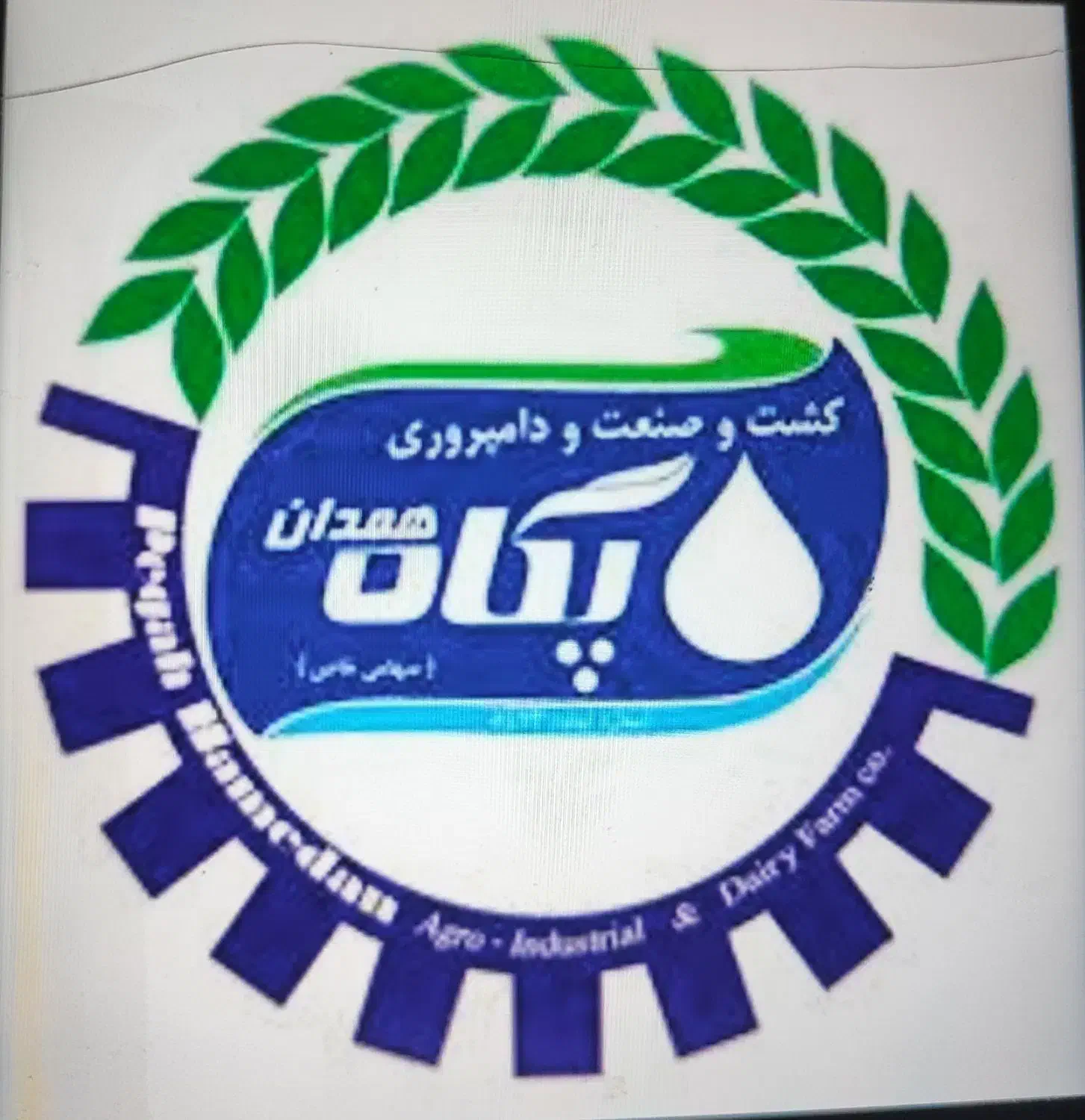 استخدام آشپز ماهر|استخدام خدمات فروشگاه و رستوران|ملایر, |دیوار