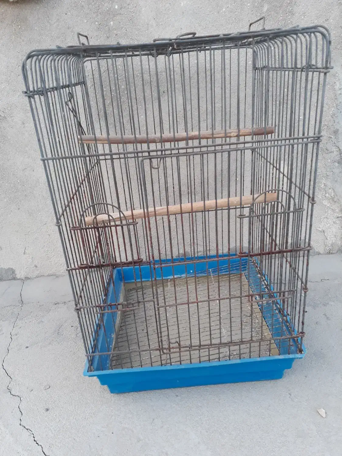 قفس کاسکویی بزرگ|لوازم جانبی حیوانات|قشم, |دیوار