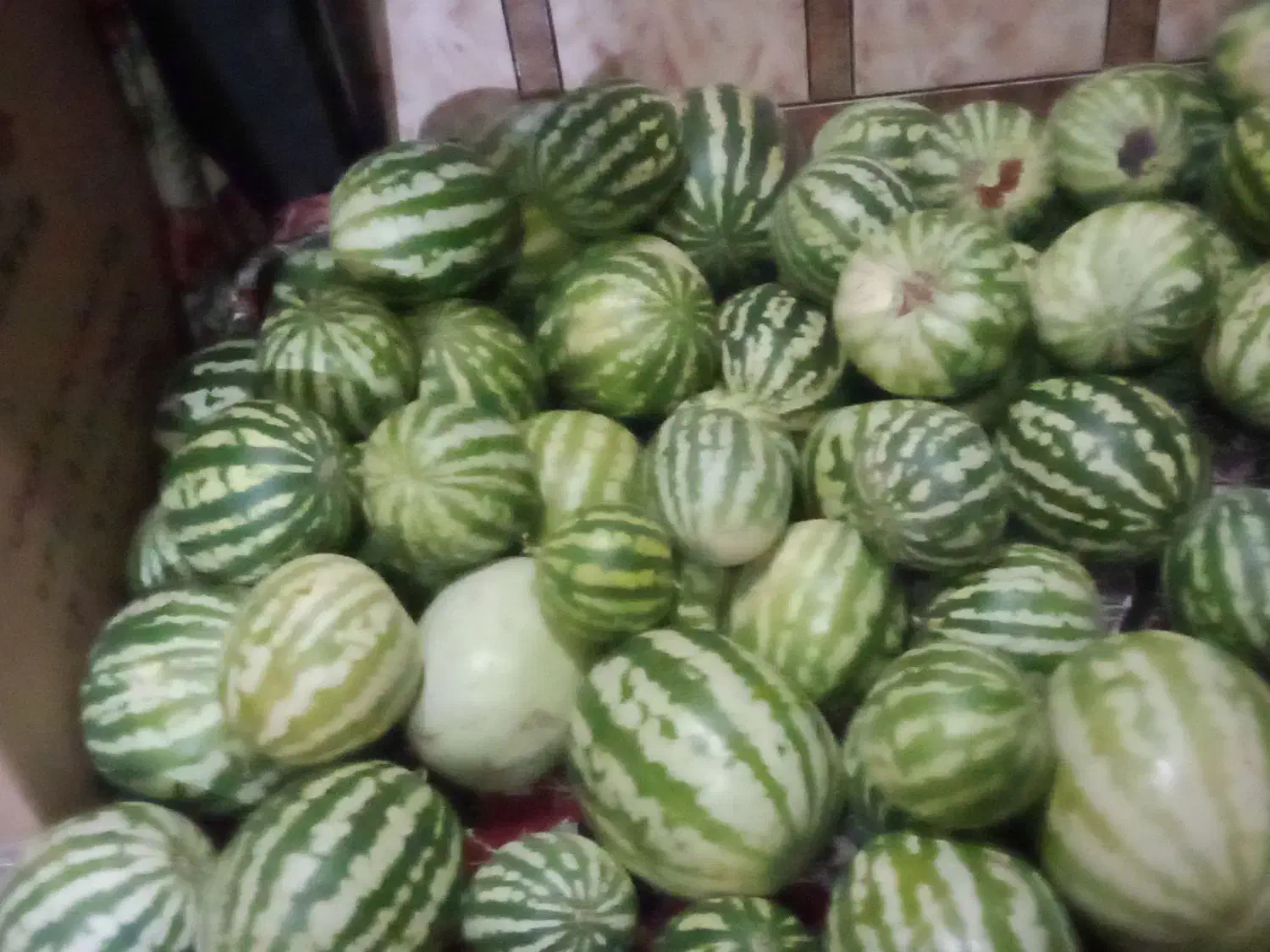 هندونه|عمدهفروشی|رامشیر, |دیوار