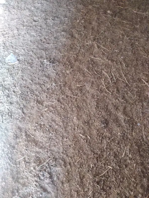 کود بز|عمده‌فروشی|زرند, |دیوار