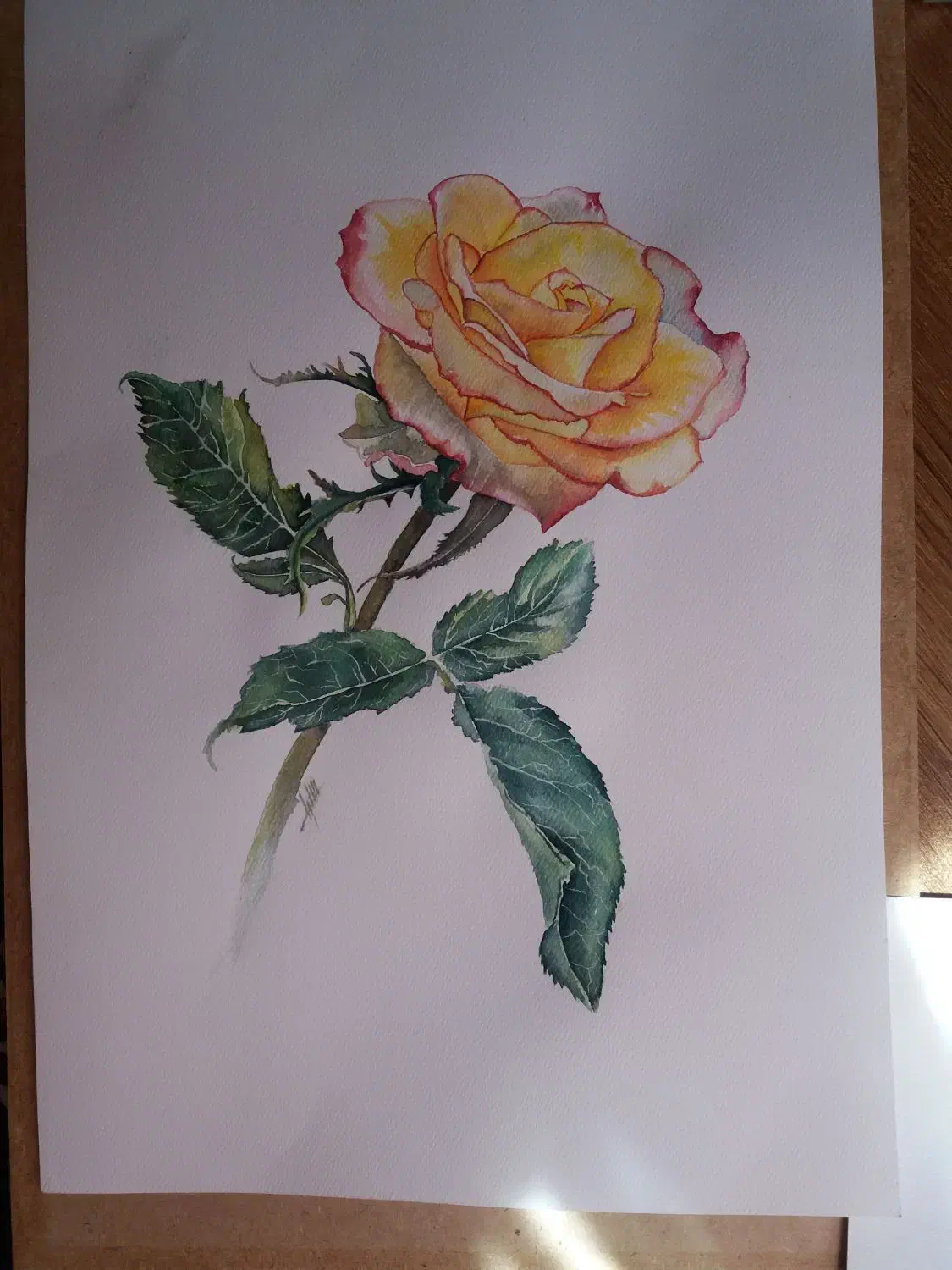 نقاشی آبرنگ گل رز|تابلو، نقاشی، عکس|تهران, منیریه|دیوار