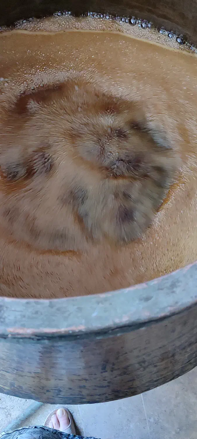 شیره انگور پخت امسال|خوردنی و آشامیدنی|قم, باغ کرباسی|دیوار