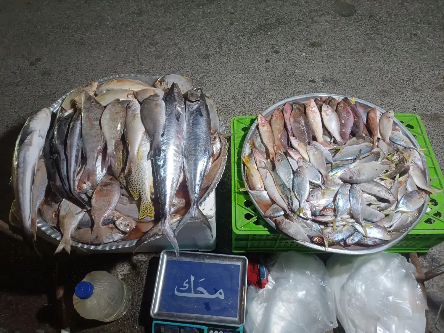 ماهی تازه خراج|خوردنی و آشامیدنی|جم, |دیوار