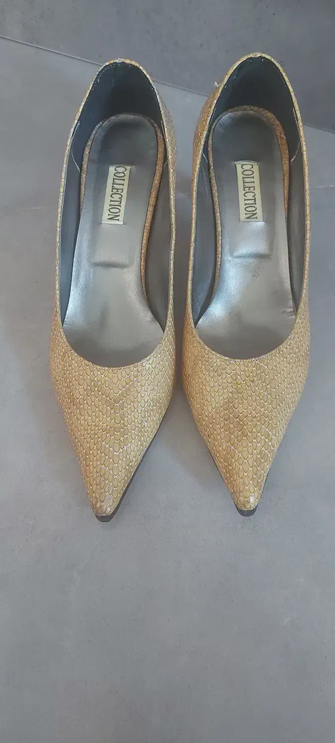 کفش مجلسی پوست ماری|کیف، کفش، کمربند|شیراز, لاله|دیوار