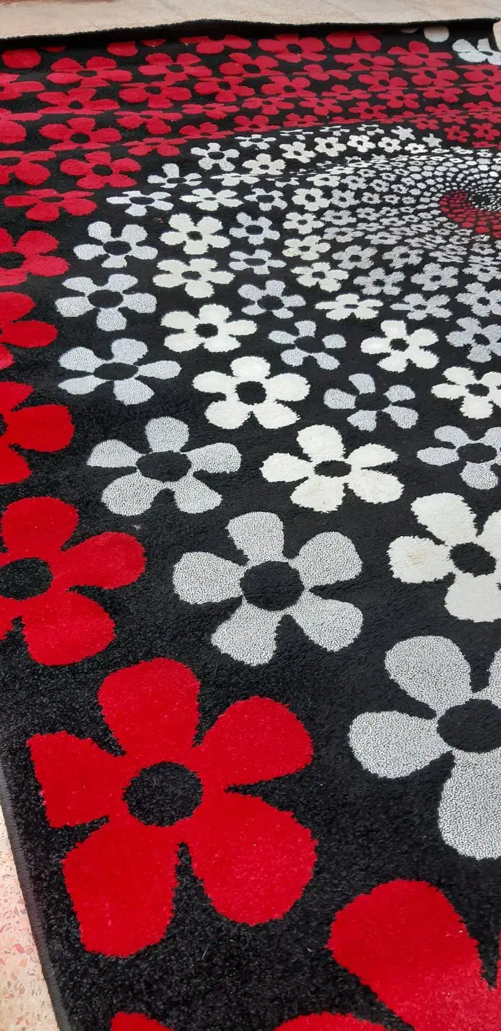 دوتخته گلیم فرش۶متری|فرش|امیدیه, |دیوار