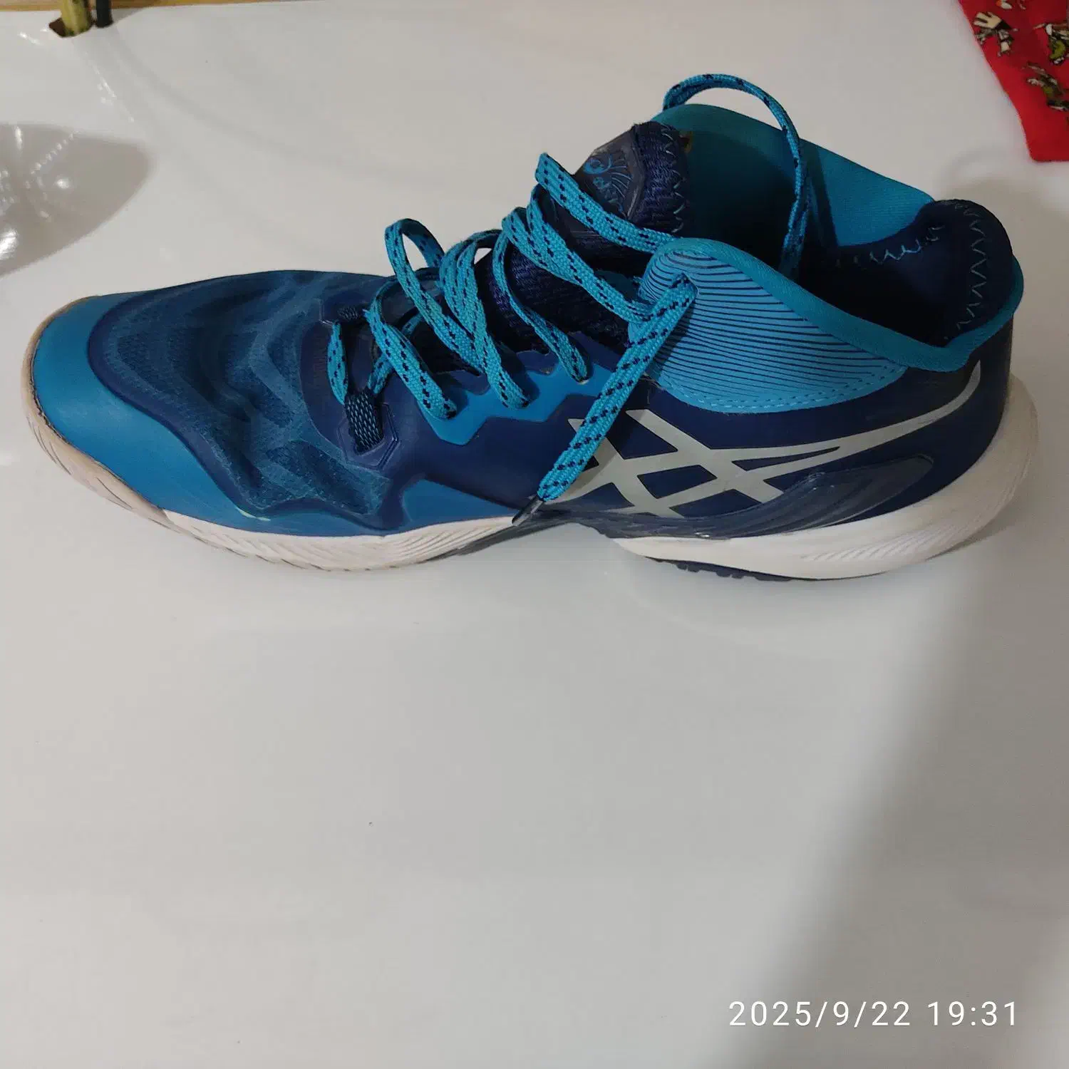 کفش والیبال|کیف، کفش، کمربند|کلاله, |دیوار