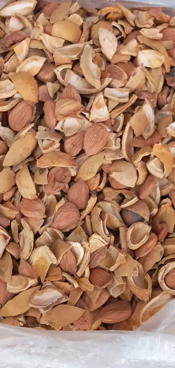 هسته شکن ،بادام ،زردآلو،گردو وانجک|خدمات باغبانی و درختکاری|یاسوج, |دیوار