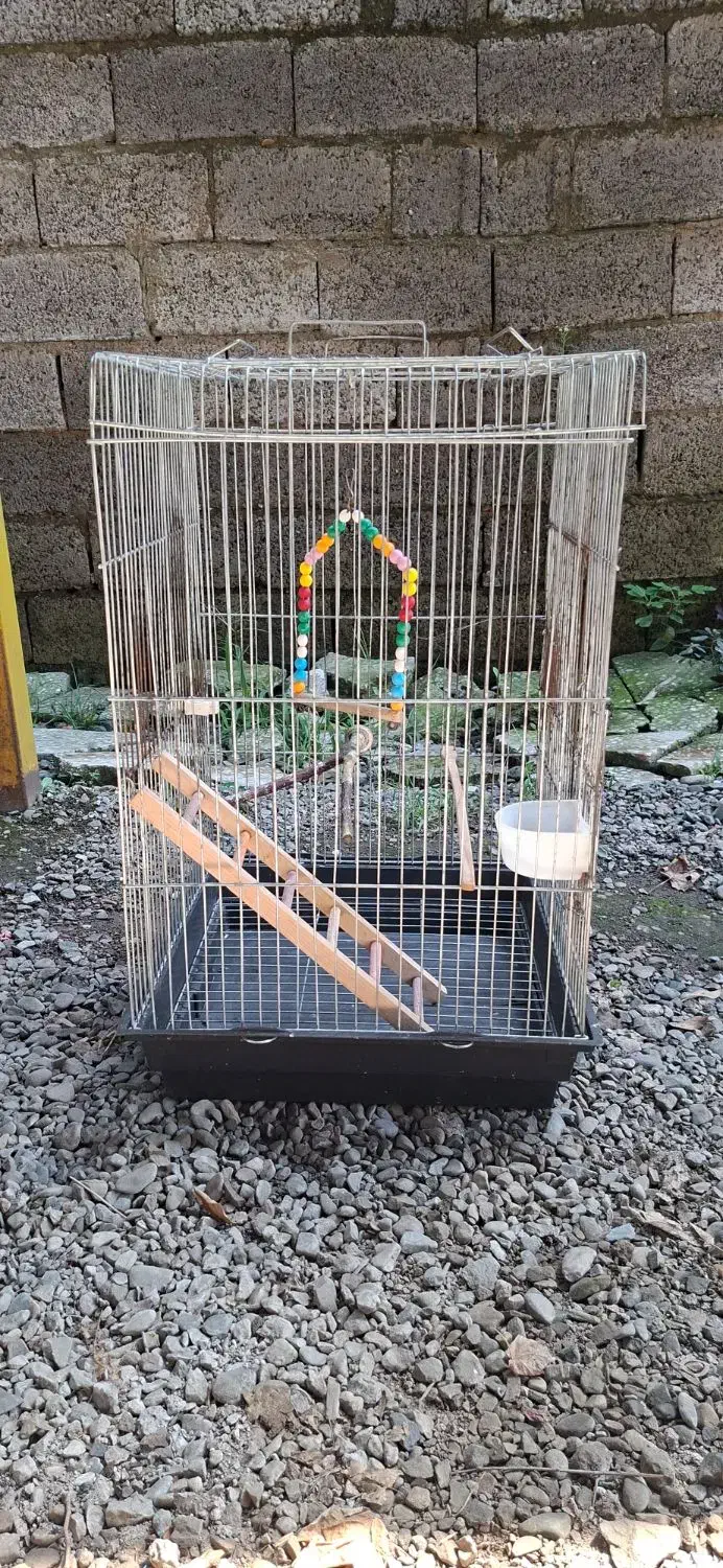 دو عدد قفس پرنده|لوازم جانبی حیوانات|رشت, پسیخان|دیوار