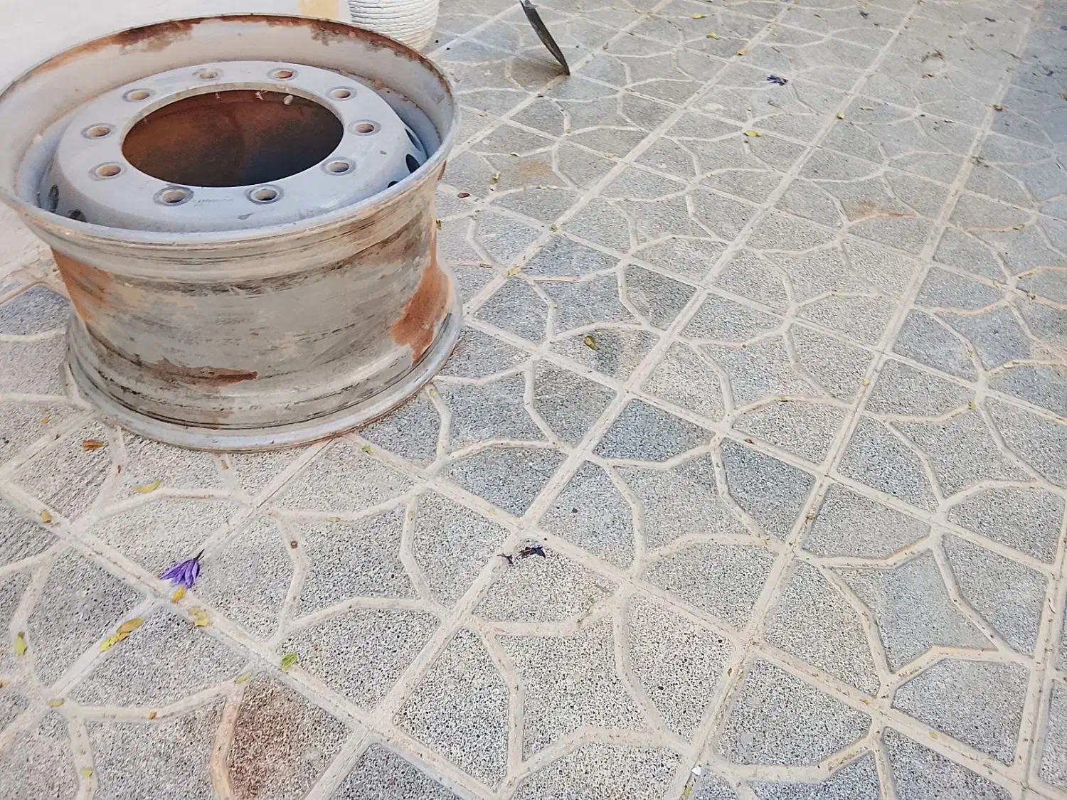 رینگ کفی تریلی|قطعات یدکی و لوازم جانبی|تربتحیدریه, آسایش|دیوار