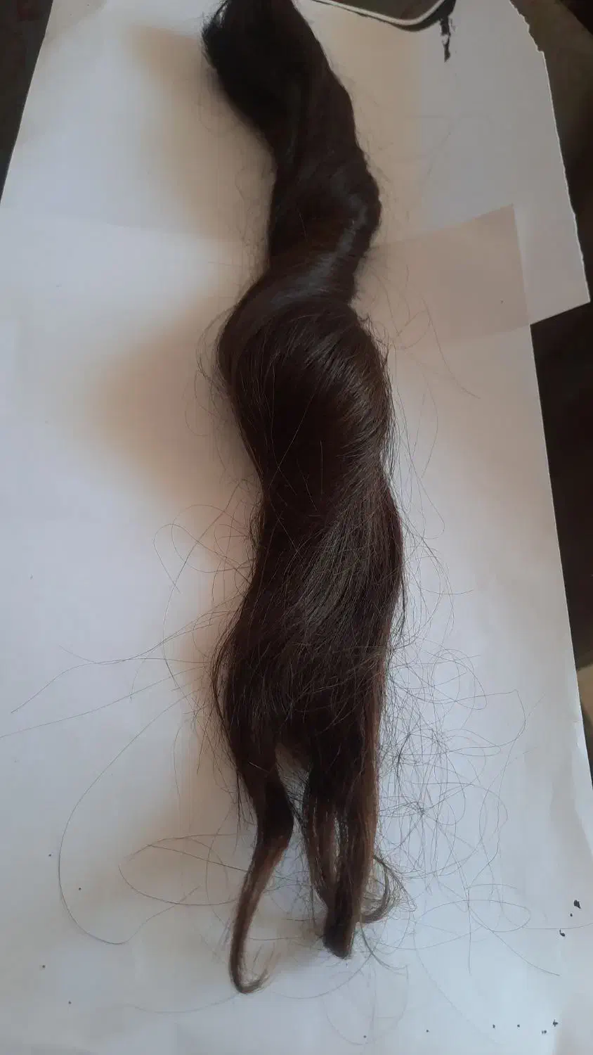 موی بلند|آرایشی، بهداشتی، درمانی|سیرجان, |دیوار