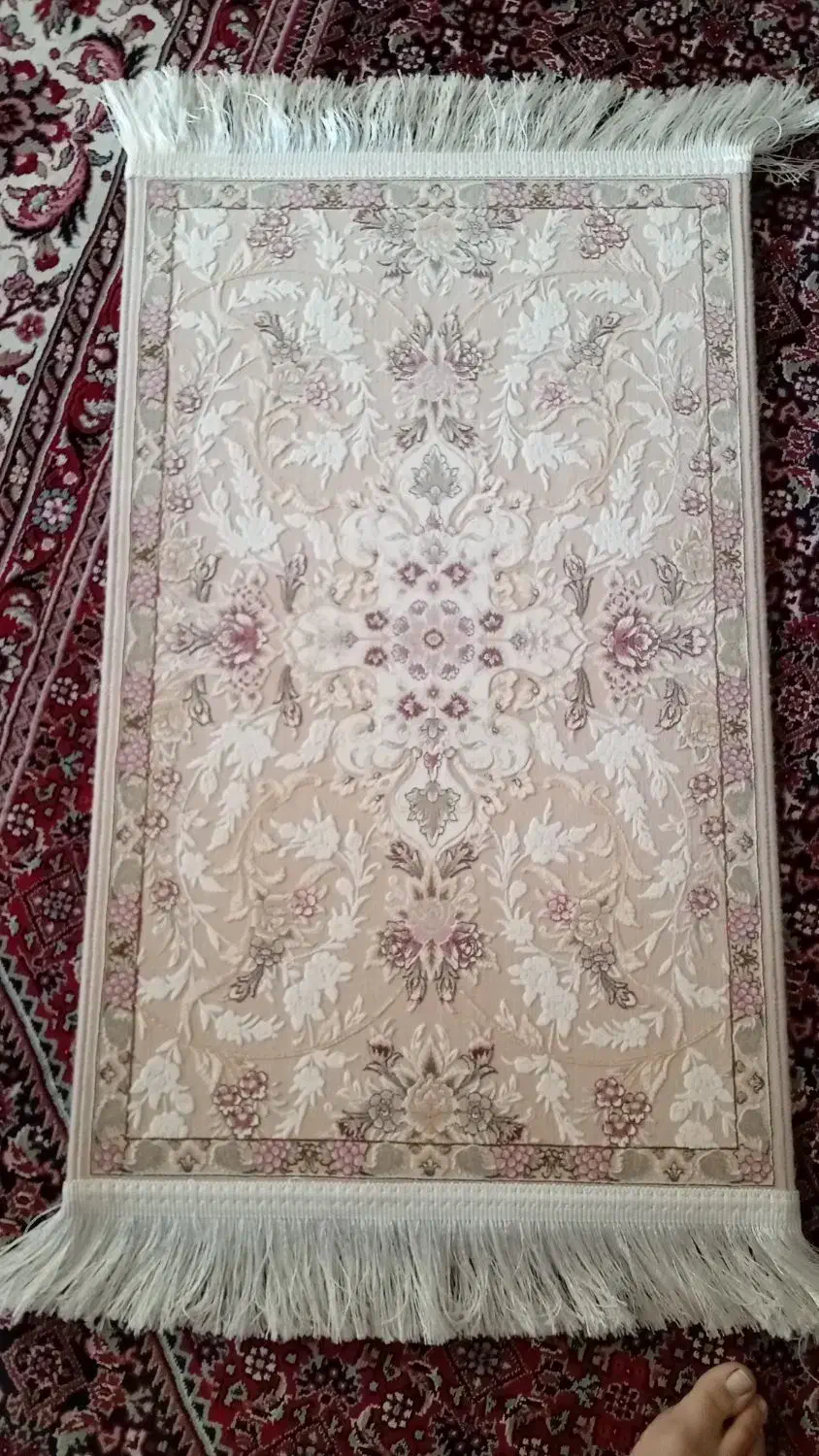 پادری برجسته|پادری|زنجان, |دیوار