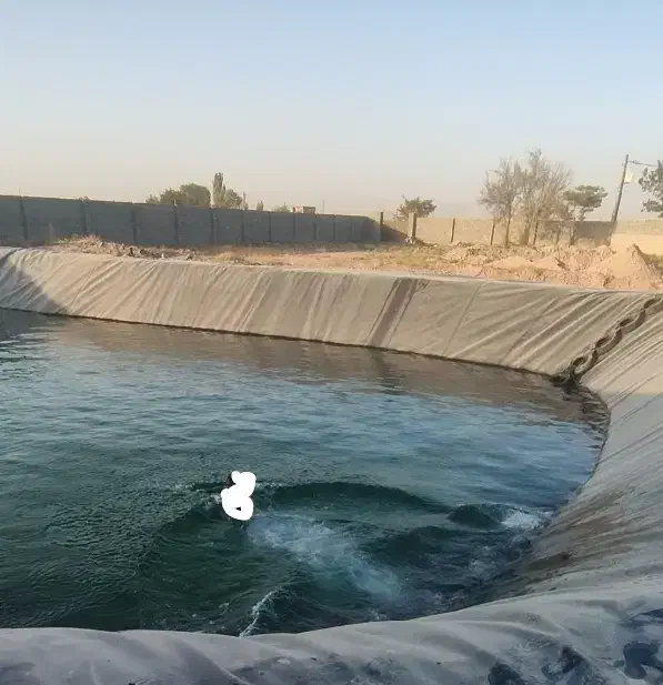 زمین اجاره برای گلخانه|اجارهٔ دفتر صنعتی، کشاورزی، تجاری|مشهد, چهاربرج|دیوار