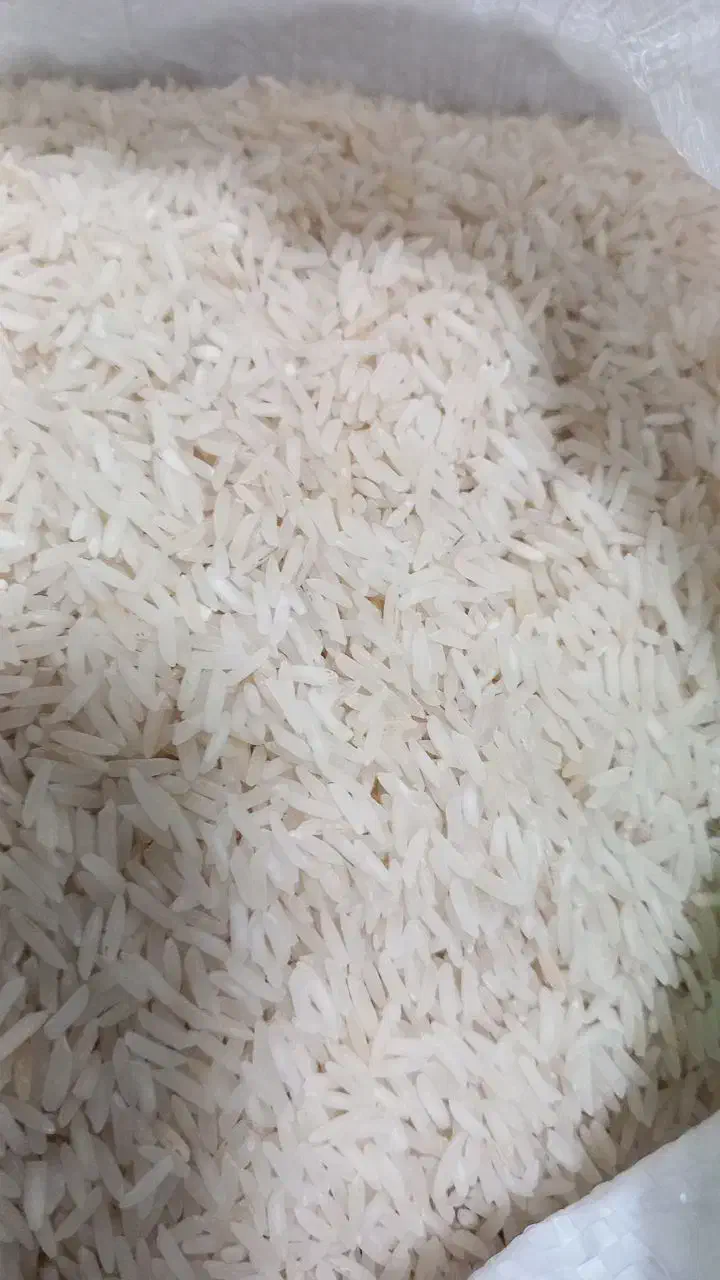 برنج روشن خوشپخت|خوردنی و آشامیدنی|بهشهر, |دیوار