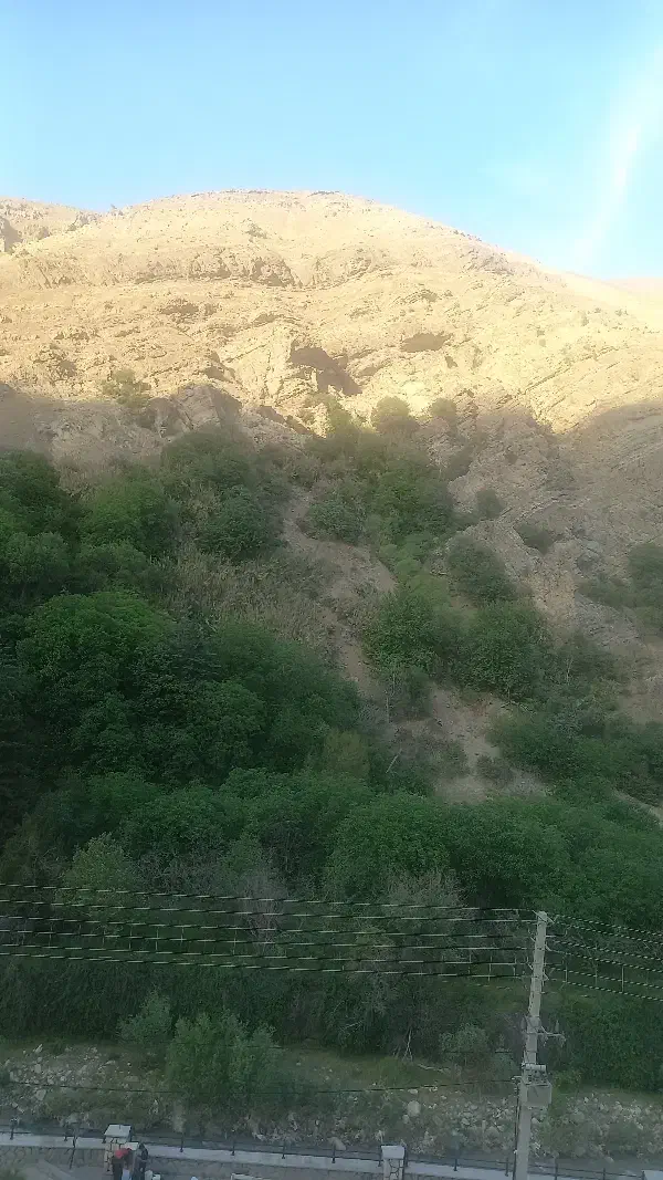 راهنمایی کنید|فعالیت داوطلبانه|تهران, امیرآباد|دیوار