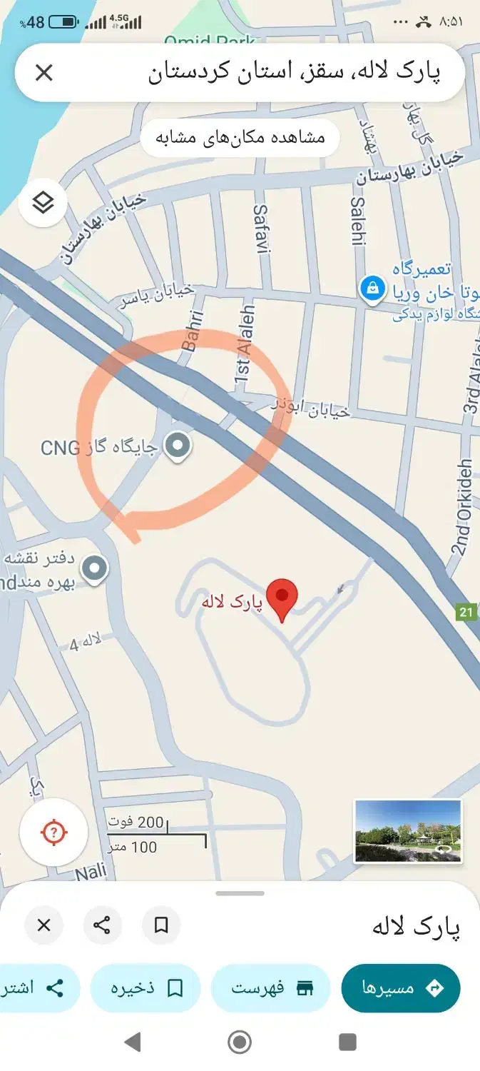 یه بچه گربه بی مادر|گربه|سقز, |دیوار