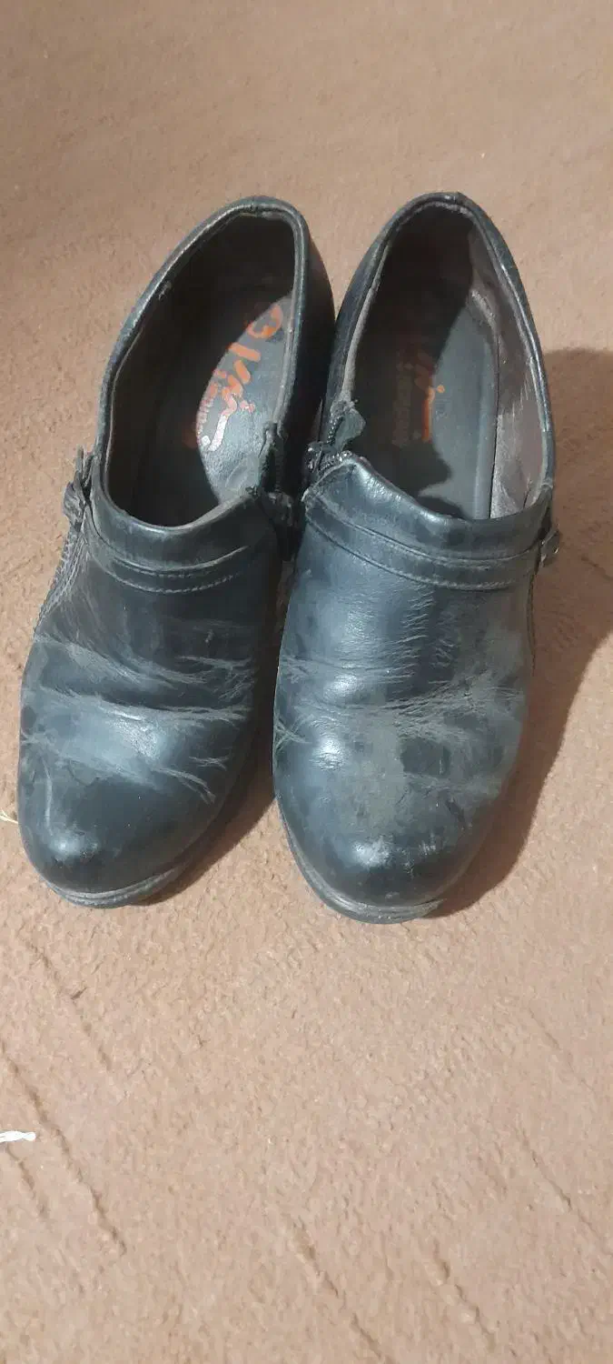 کفش|کیف، کفش، کمربند|ارومیه, |دیوار