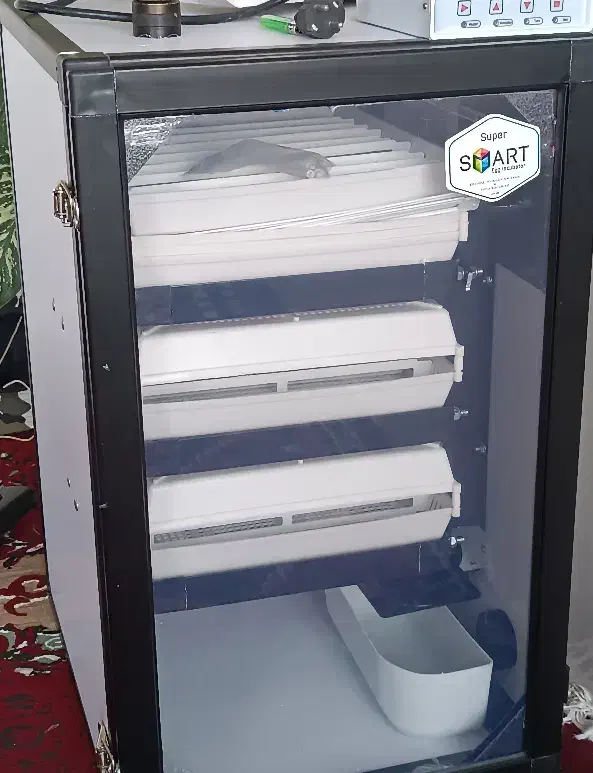 جوجه کشی|لوازم جانبی حیوانات|جهرم, |دیوار