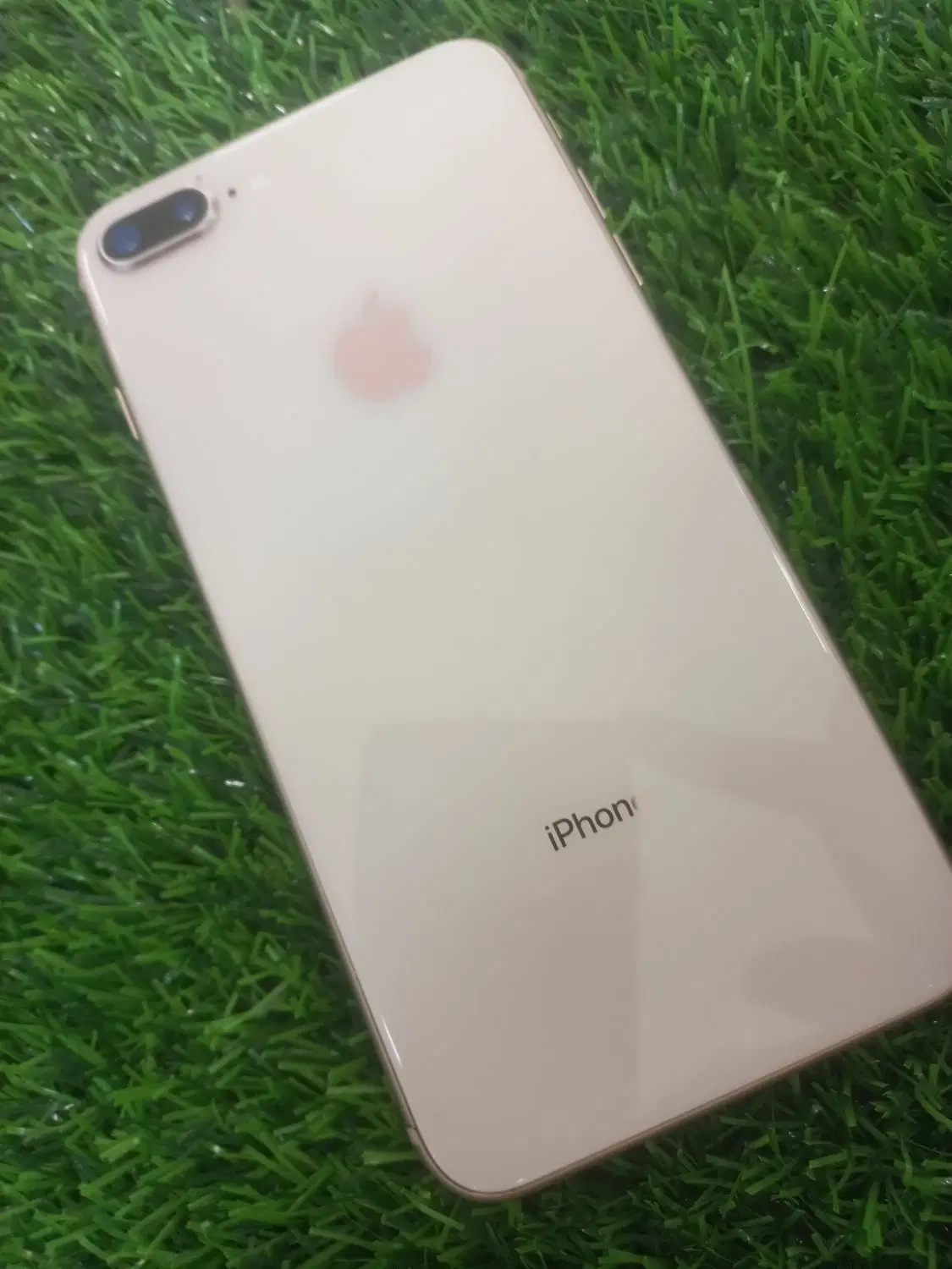 iPhone 8 plus|موبایل|مشهد, جاهد شهر|دیوار