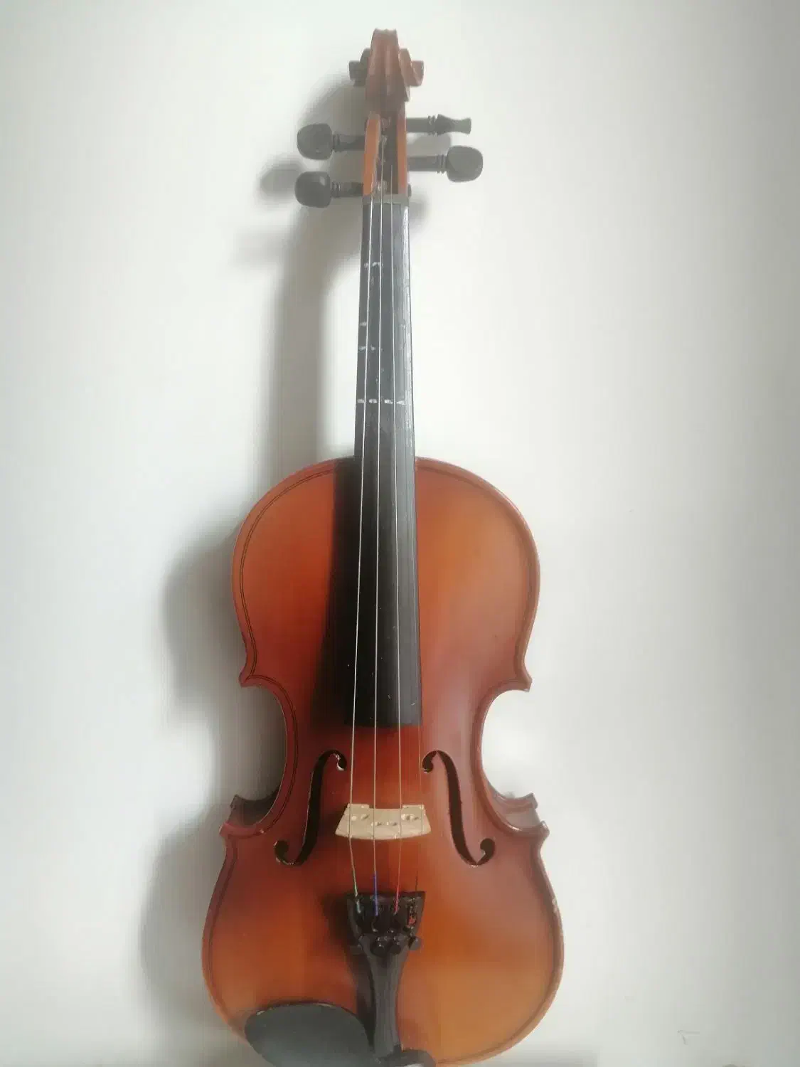 ویولون تی اف (آموزشی)|ویولن|تهران, شمس‌آباد|دیوار