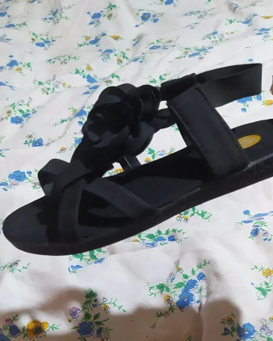 کیف و صندل|کیف، کفش، کمربند|سقز, |دیوار