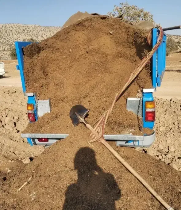 کود حیوانی میش|لوازم جانبی حیوانات|کوه چنار, |دیوار