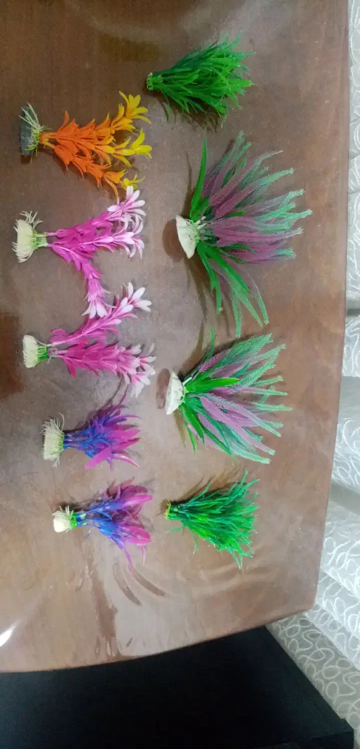 گل تزئینی آکواریوم|ماهی|گناباد, |دیوار